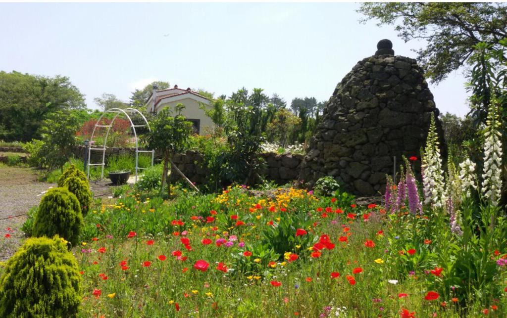 제주 Baghdad House 빌라 외부 사진